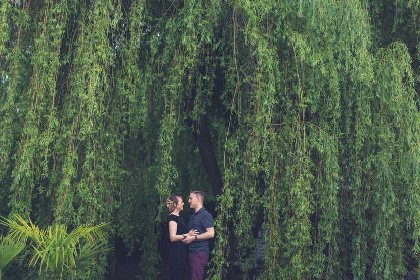 engagement session photo under a weeping willow